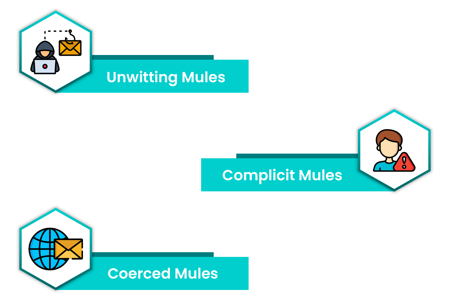 types of money mules