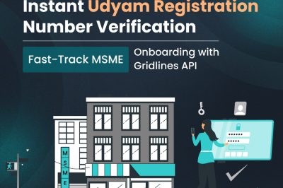 Verify Udyam Registration Instantly with Gridlines MSME API