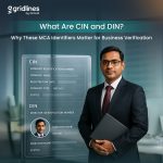 Professional showcasing CIN and DIN verification details for business authentication