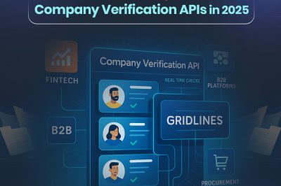 From Risk to Reliability: The Rise of Company Verification APIs in 2025
