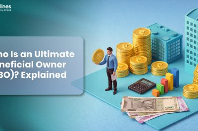 Who Is an Ultimate Beneficial Owner ? Explained