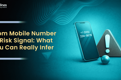 From Mobile Number to Risk Signal: What You Can Really Infer