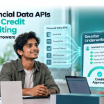 financial data APIs for credit underwriting